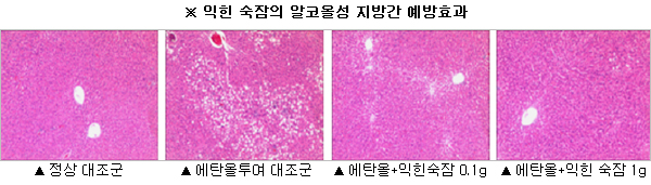 이미지 대체 내용을 작성합니다.