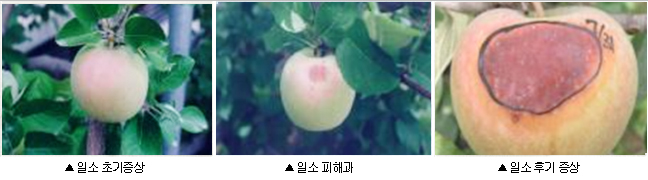 이미지 대체 내용을 작성합니다.
