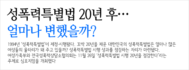 성폭력특별법 위반에 대한 설명 6