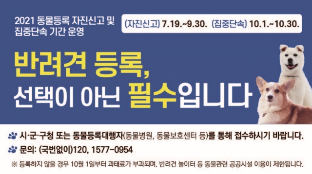 공감 이미지