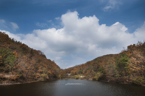 모산제 골짜기 안쪽에 자리한 저수지. 영천의 상징인 별을 모티브로 한 박용석 작가의 예술작품 ‘별의 별’이 저수지 수면에 떠 있다. (사진제공=박수진)