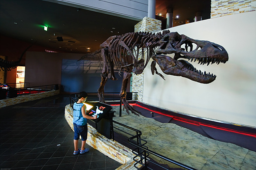 해남공룡박물관. 백악기 육식공룡인 티라노사우루스의 설명을 꼼꼼하게 읽고 있는 어린이의 모습.