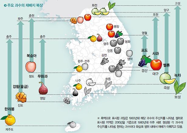 주요 과수의 재배지 북상 하단내용 참조 주요 과수의 재배지 북상 하단내용 참조