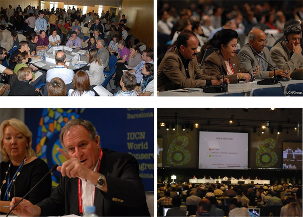 지난 2008년 스페인 바르셀로나에서 열린 세계자연보전총회의 모습들. 