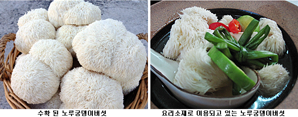 노