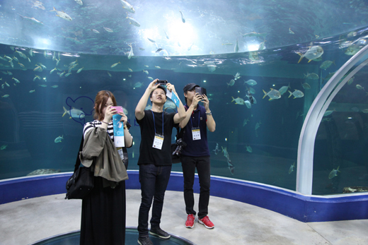 SNS국민리포터들이 다시 개장한 여수엑스포 아쿠아플라넷에서 다양한 해양생물을 관람하며 사진을 촬영하고 있다. 