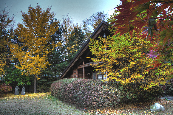 토대작가들의 숙소로 이용되는 통나무집.