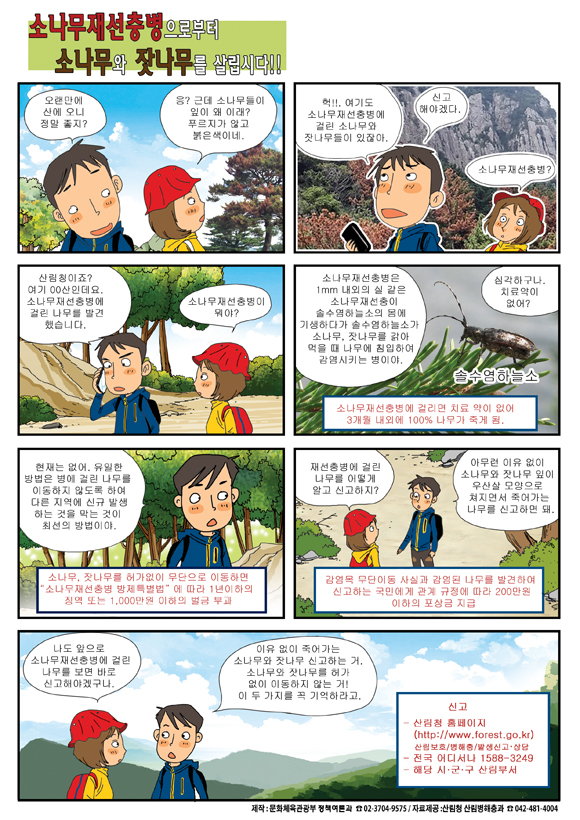 [12월 정책만화, 산림청] 소나무재선충병으로부터 소나무와 잣나무를 살립시다!!