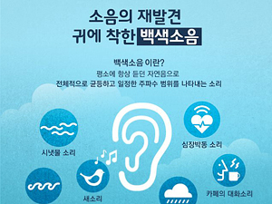 소음의 재발견, 귀에 착한 ‘백색 소음’ - 전체 | 카드/한컷 | 멀티미디어 | 대한민국 정책브리핑