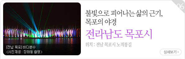 불빛으로 피어나는 삶의 근기, 목포의 야경