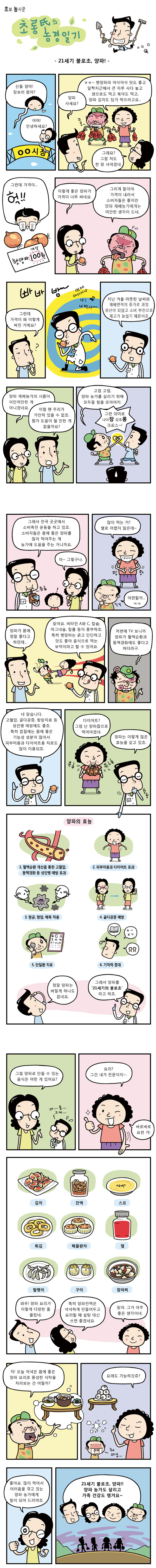 [초롱씨의 농경일기] 21세기 불로초, 양파!