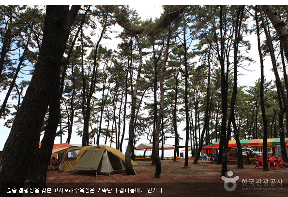 솔숲 캠핑장을 갖춘 고사포해수욕장은 가족단위 캠퍼들에게 인기다