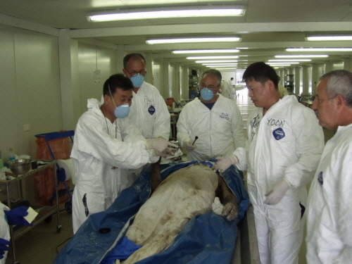 태국 쓰나미 현장에서 윤 팀장이 외국 감식 요원들에게 우리의 선진기법을 전수하고 있다. <사진=윤광상 경위 />