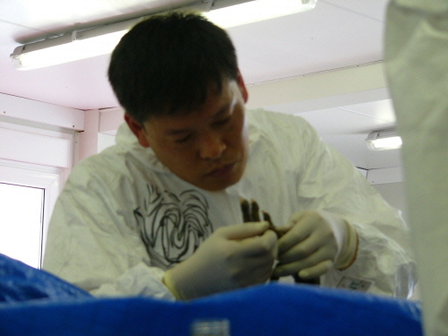 윤광상 과학수사팀장이 태국 쓰나미 재난현장에서 지문을 채취하고 있다. <사진=윤광상 경위 />