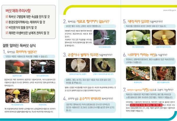 ‘야생버섯 채취 주의!’ 리플렛. 