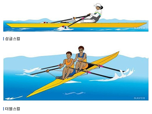 위 그림을 보면 싱글스컬과 더블스컬이 있다. 두 개의 노를 젓기 때문에 스컬이란 이름이 붙고 배에 타는 선수의 수에 따라 1인은 싱글, 2인은 더블, 4인은 쿼더러플이라고 부른다(출처=네이버 스포츠 백과)
