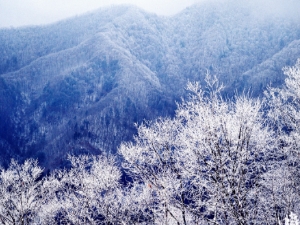 겨울 산