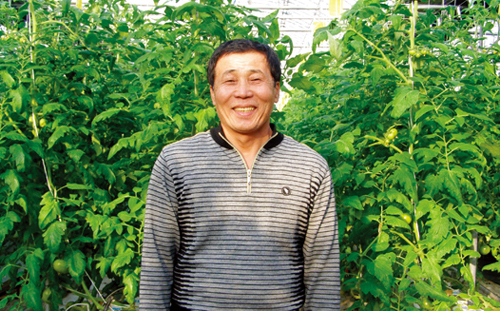 완숙 토마토를 연중 재배하는 제일농장 황명준 대표. 스마트폰으로 양액(養液) 공급기를 자유자재로 컨트롤할 수 있고 복합환경제어도 가능하다.