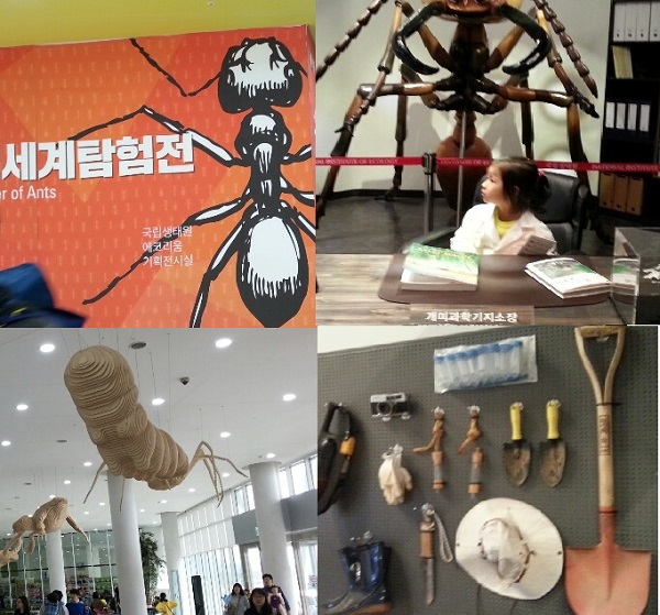 에코리움에서 개미세계탐험전이 전시되고 있다. 입구에 준비된 흰 가운을 입고 아이들은 개미과학기지 소장이 된다. 에코리움에서 개미세계탐험전이 전시되고 있다. 입구에 준비된 흰 가운을 입고 아이들은 개미과학기지 소장이 된다.