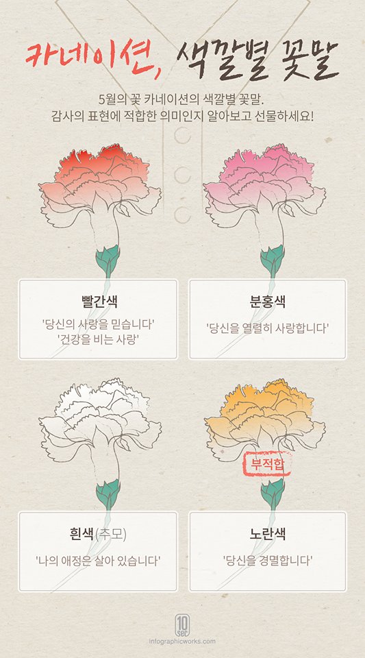 카네이션, 색깔별 꽃말 하단내용 참조