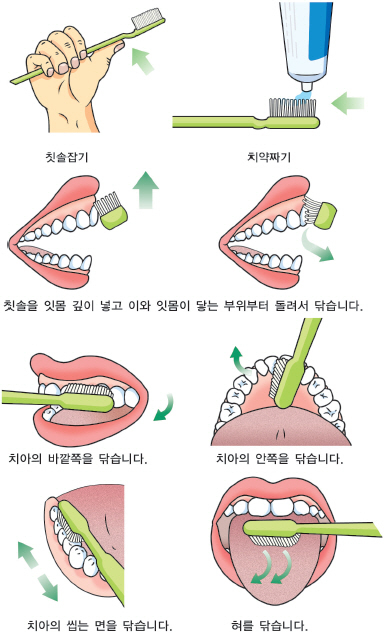 식품의약품안전처_올바른 칫솔질