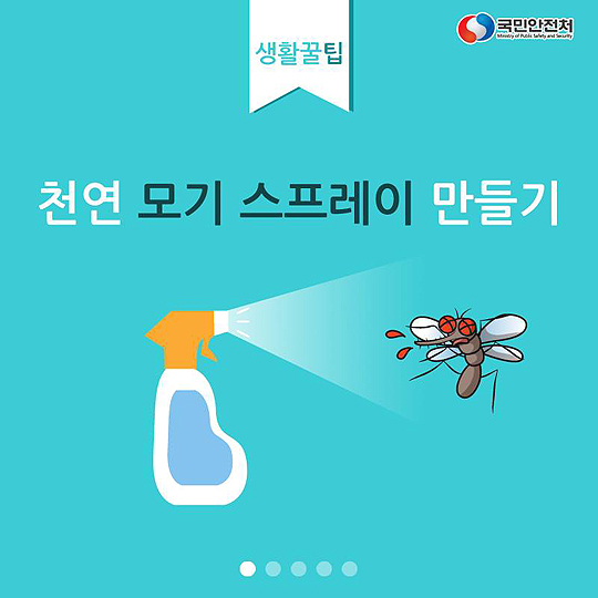 천연 모기 스프레이 만들기!