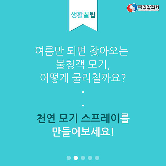 천연 모기 스프레이 만들기!