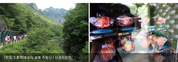 [왼쪽/오른쪽]청송의 보배 주왕산 / 사과자판기.