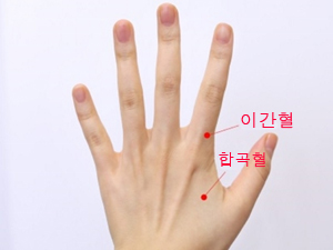 기간혈과 합곡혈 기간혈과 합곡혈
