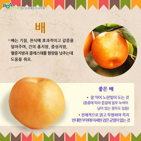 추석 명절 맛 좋은 과일, 어떻게 고를까? - 전체 | 카드/한컷 | 멀티미디어 | 대한민국 정책브리핑