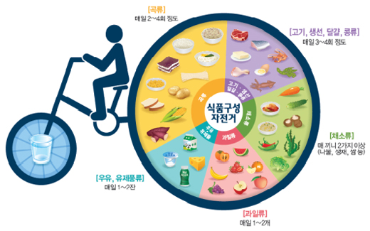 식품구성자전거.