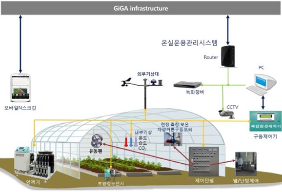 신안군 임자도 내