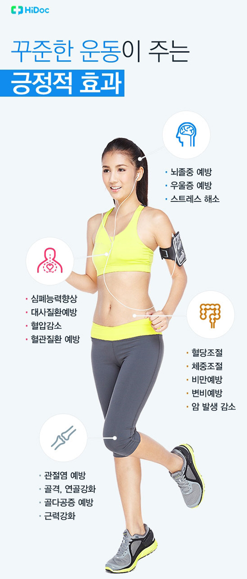 운동이 건강에 주는 효과 운동이 건강에 주는 효과
