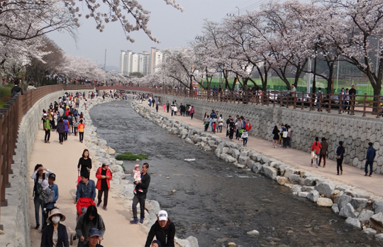 경북 구미시 금오천 전경.