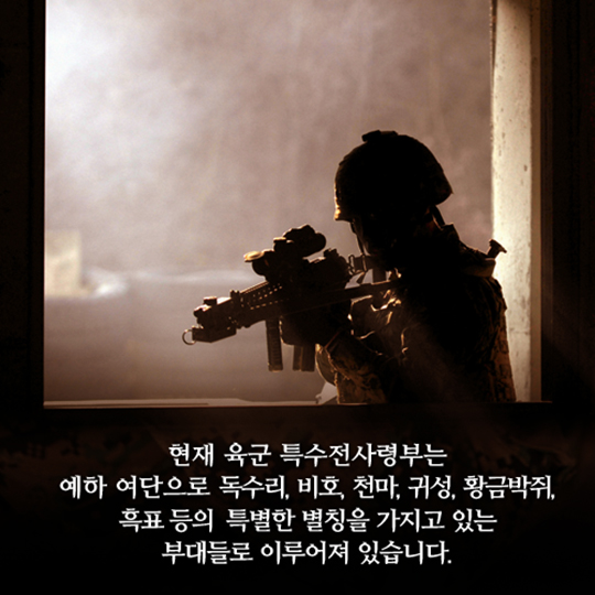 ‘태양의 후예’…진짜 태양의 후예, 특전사가 되는방법!?