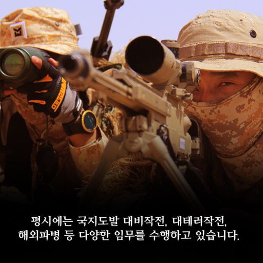 ‘태양의 후예’…진짜 태양의 후예, 특전사가 되는방법!?