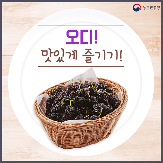 오디 맛있게 즐기기