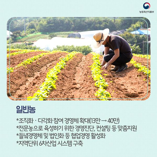 농업 경영체 유형별 맞춤형 육성정책