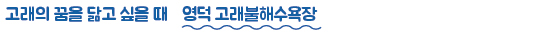 고래의 꿈을 닮고 싶을 때 영덕 고래불해수욕장