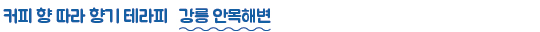 커피 향 따라 향기 테라피 강릉 안목해변
