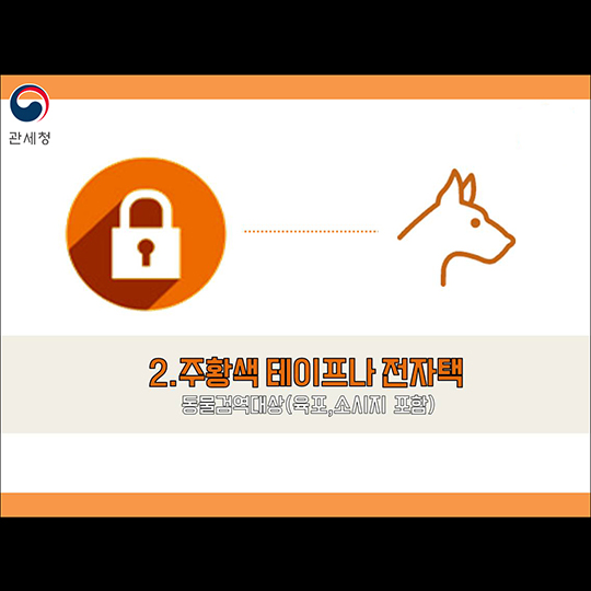 궁금해요, 공항 입출국 행동 요령!