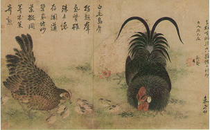 <도판1> 변상벽 <자웅장추도>, 18세기 중엽, 종이에 채색, 30×46cm, 간송미술관소장.