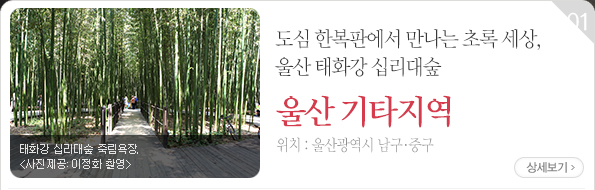 도심 한복판에서 만나는 초록 세상, 울산 태화강 십리대숲 - 울산광역시 남구·중구