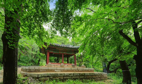 광복절, 고궁·왕릉 등 휴무 없이 전면 개방