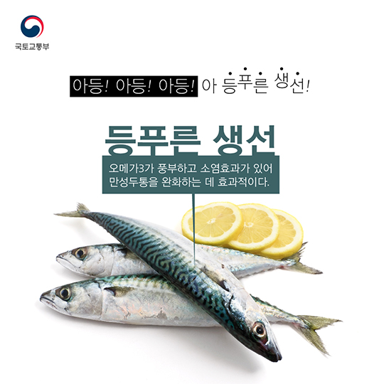 머리가 하태핫태? 두통에 좋은 음식 5가지