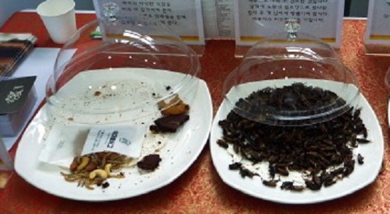 (사)곤충산업협회 부스에서는 다양한 곤충 음식들을 맛볼 수 있었다.
