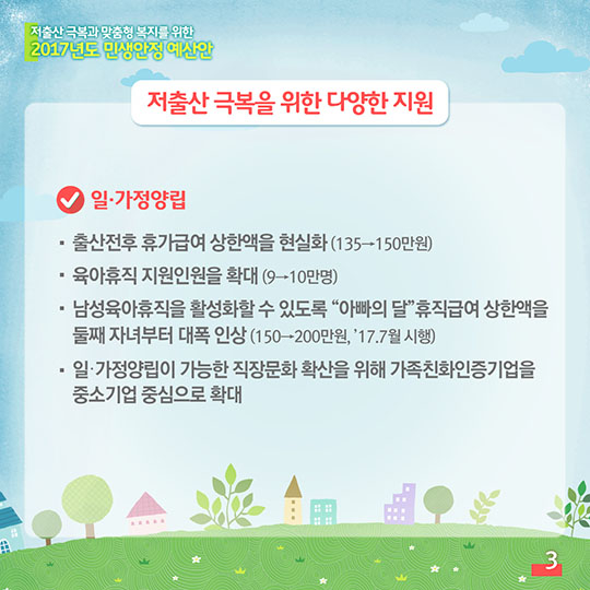 2017년도 민생안전 예산안