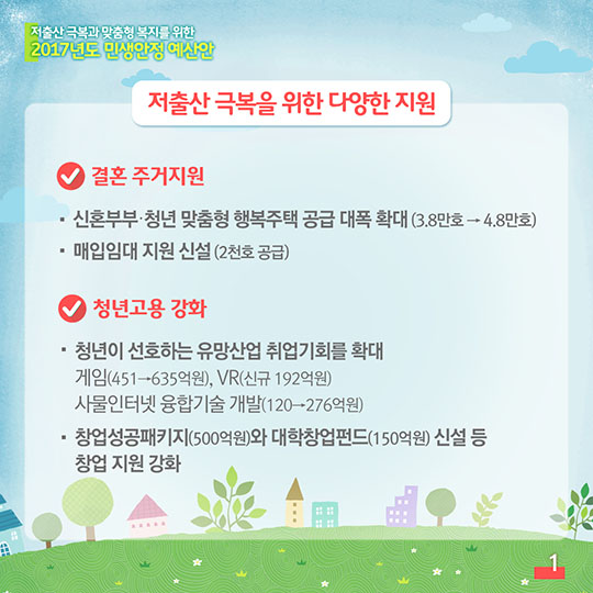2017년도 민생안전 예산안