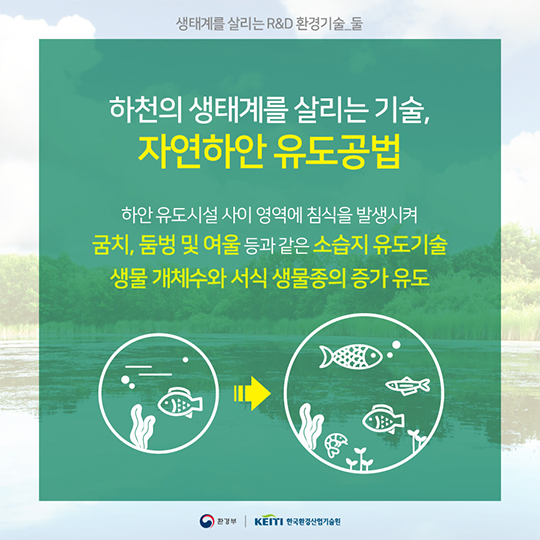 생태복원, 자연과 인간의 평화로운 공존이야기