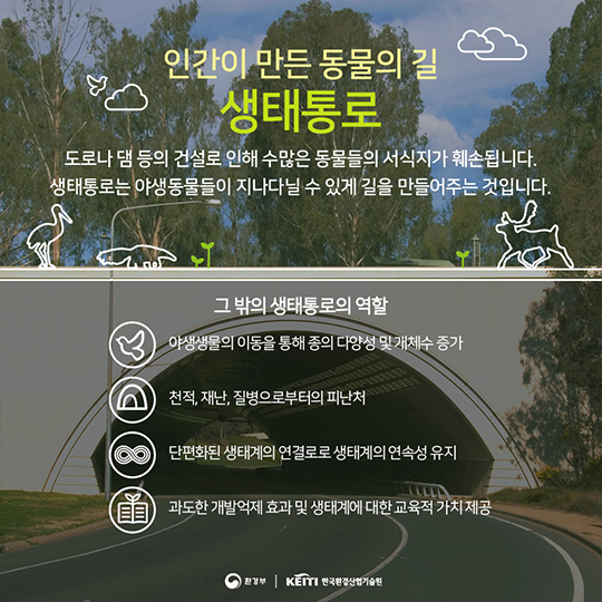 생태복원, 자연과 인간의 평화로운 공존이야기